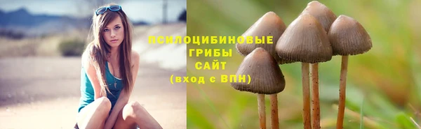 mdma Вязьма