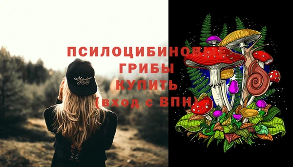 твердый Вязники